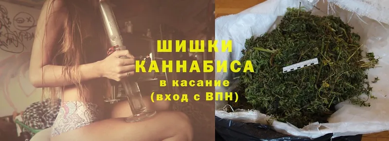 Бошки марихуана Amnesia  Донской 